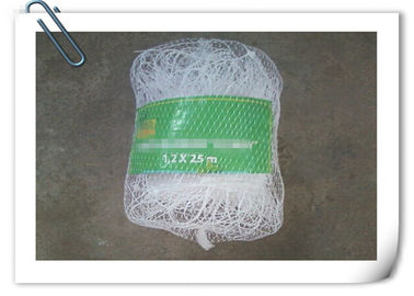 Trung Quốc Nhà máy nhựa đường hỗ trợ Net Green White Cucumber Support Net nhà máy sản xuất